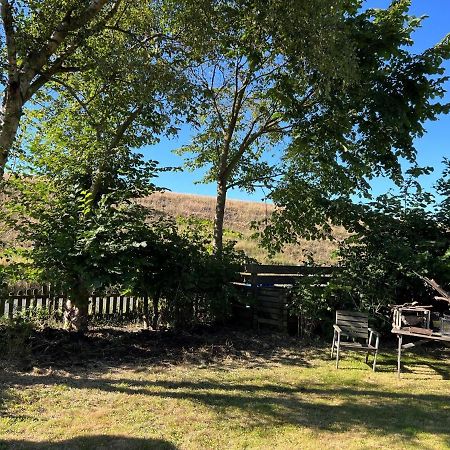 Terraced House, Hedwigenkoog Villa Eksteriør billede